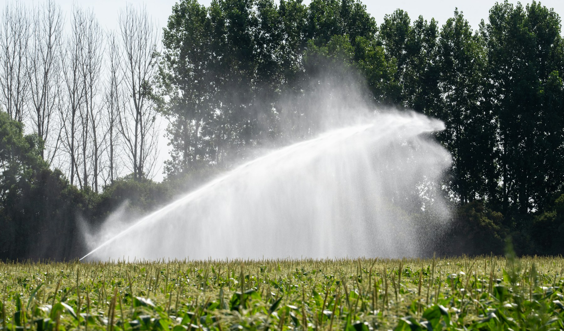 Irrigation systems