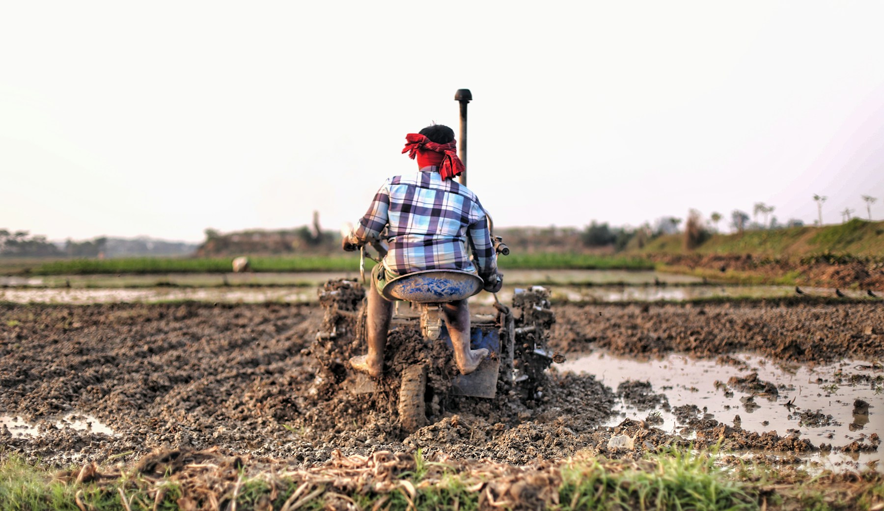 Tillage & soil preparation